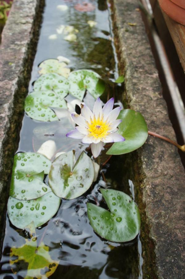 橙品温泉民宿 Wenquan 外观 照片